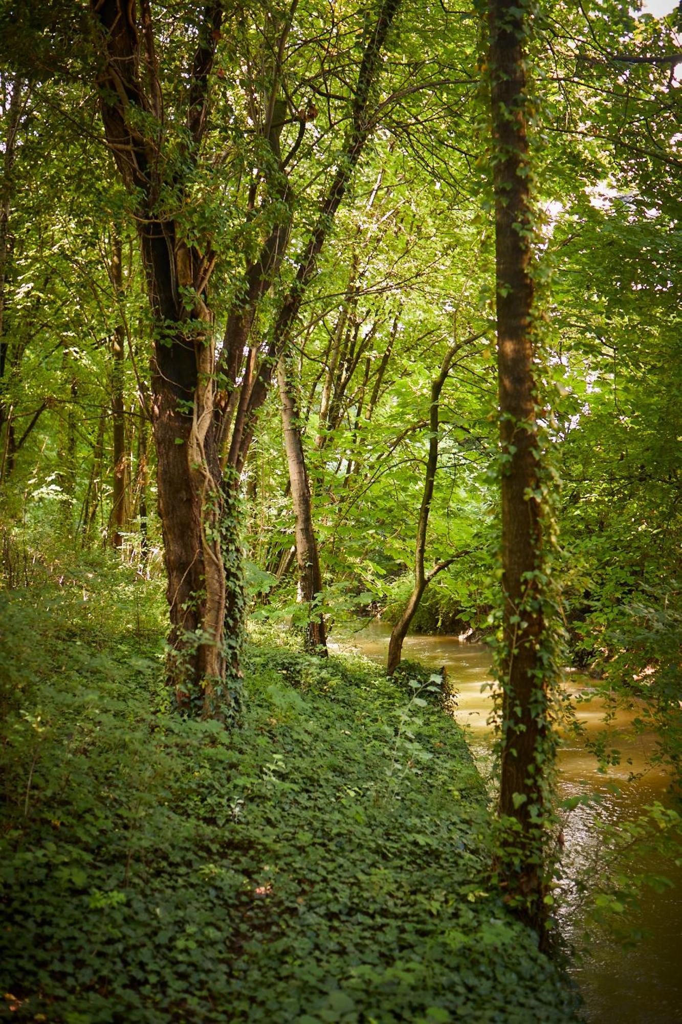 Gaestehaus Englischer Garten Munchen Bagian luar foto